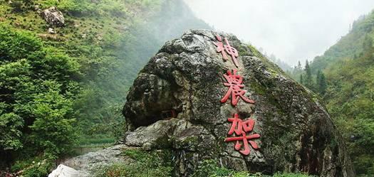 逃离小怪世界